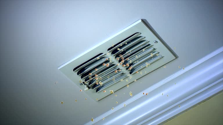 Best Air Duct Cleaning Near Me  in Vista, CA