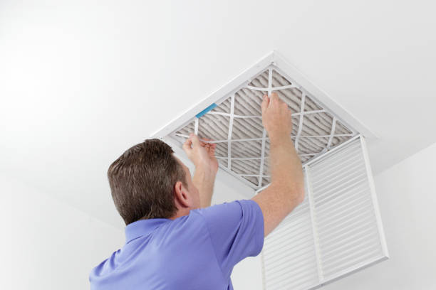 Best Local Air Duct Cleaning Services  in Vista, CA